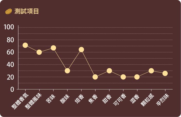 測試項目