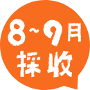 8-9月採收